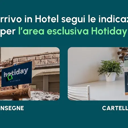 Hotel Hotiday Sauze Assietta 3*